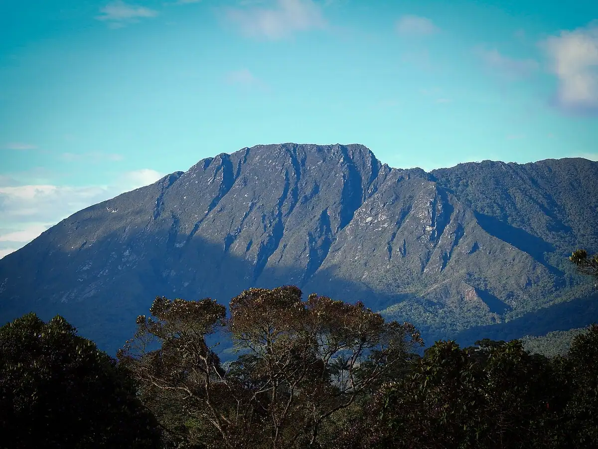 Parque Nacional Natural Tamá