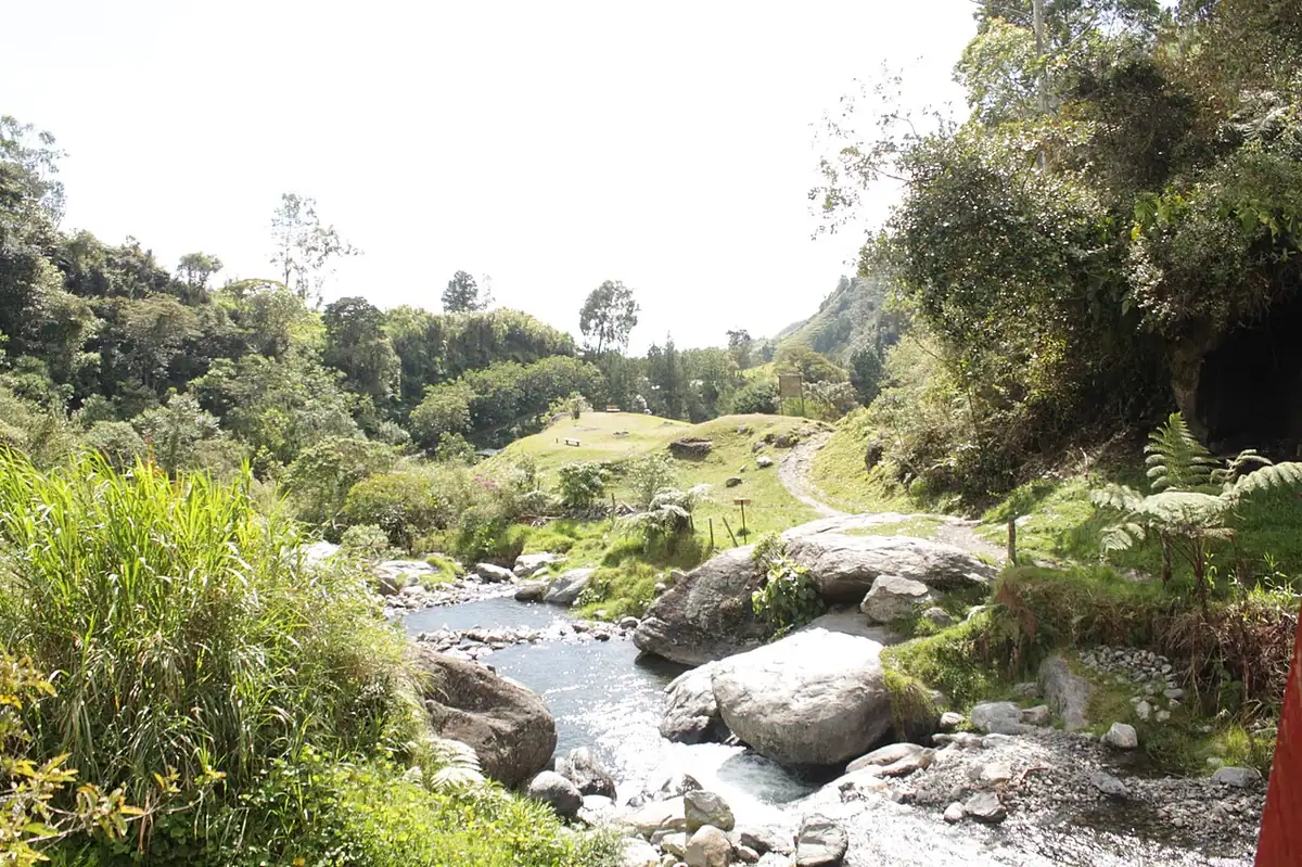 Pensilvania (Caldas)