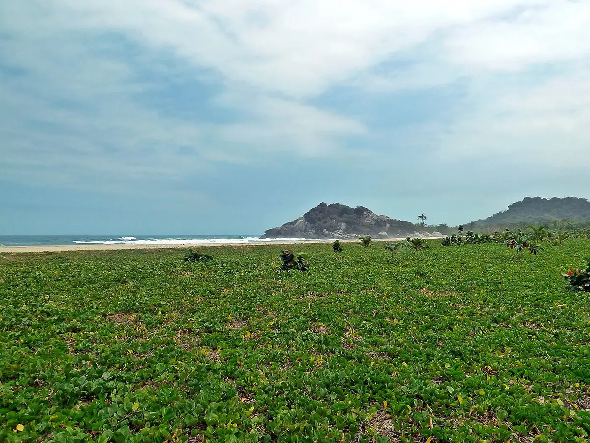 Playa Arrecifes (Tayrona)