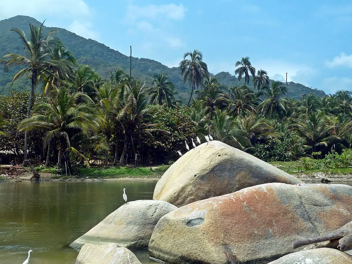 Playa Arrecifes (Tayrona)