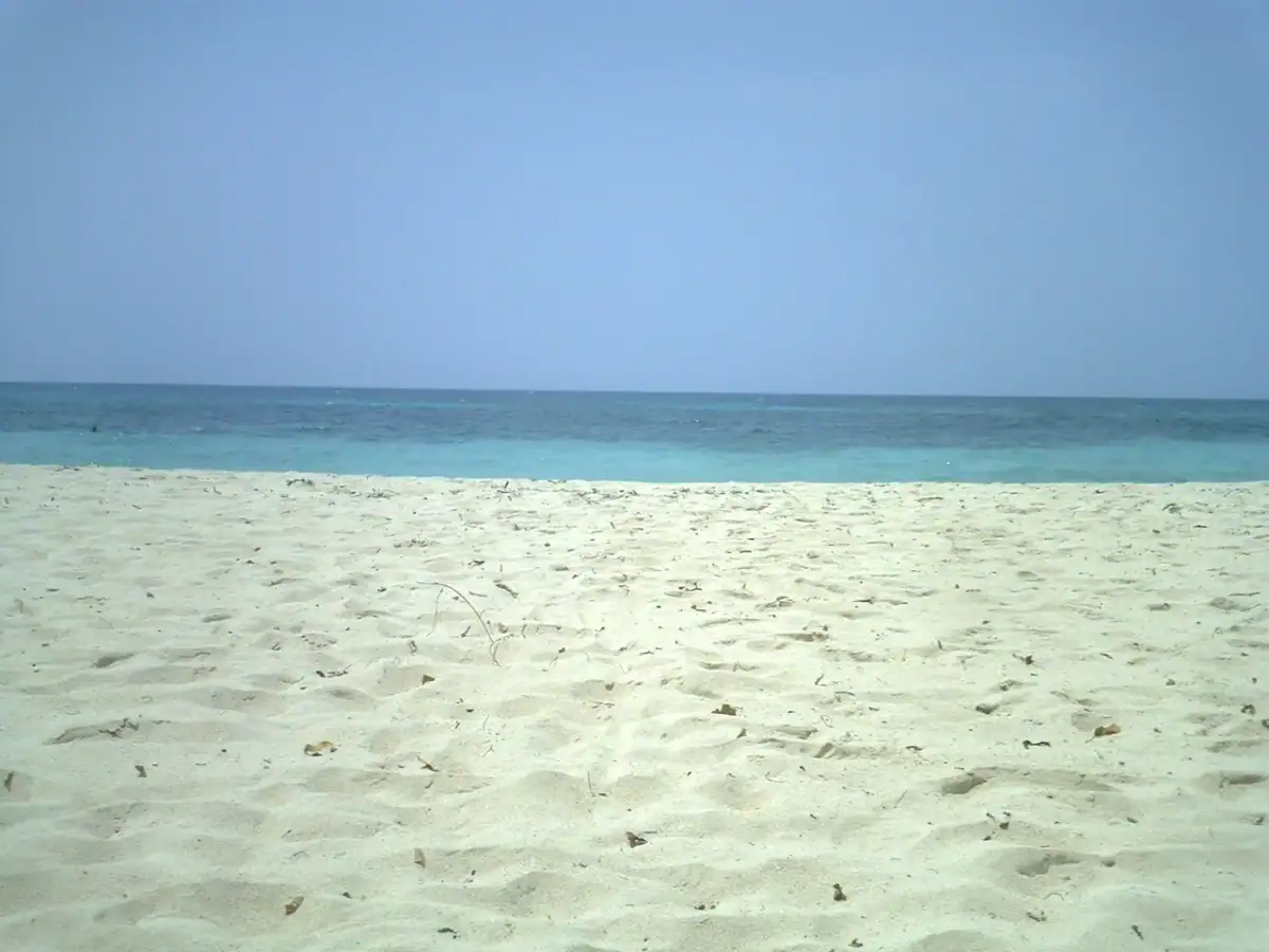 Playa Blanca (Barú)