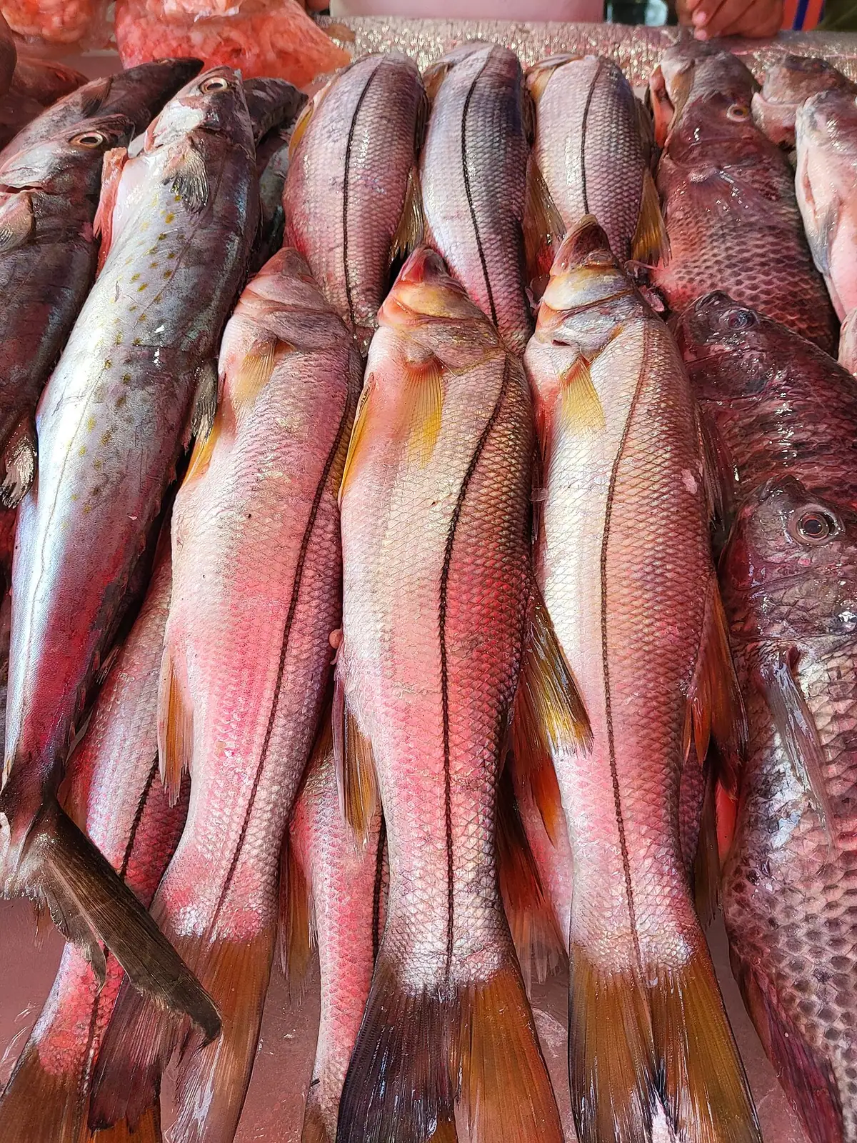 Plaza de Mercado de Bazurto (Cartagena)