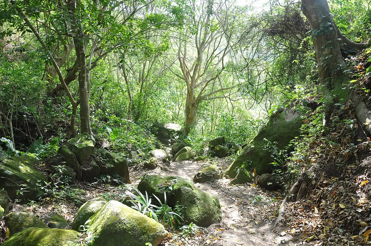 Pueblito Chairama (Tayrona)