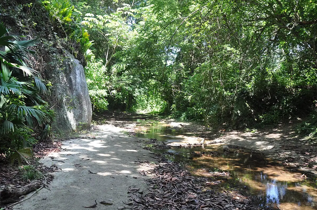 Pueblito Chairama (Tayrona)