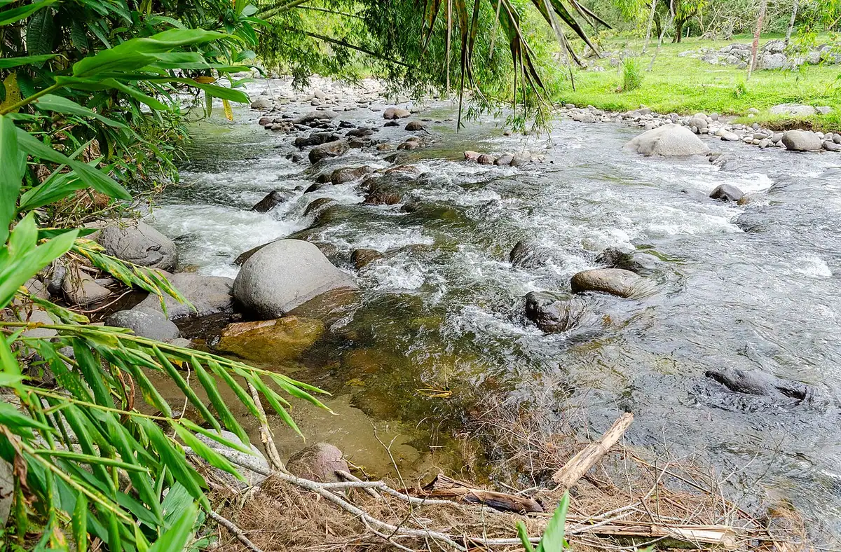 Río Quindío