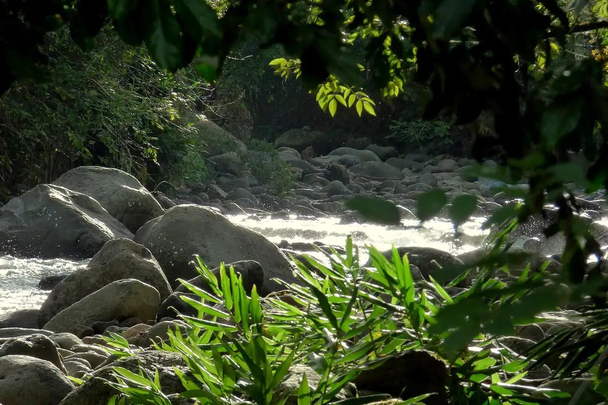 Río Quindío