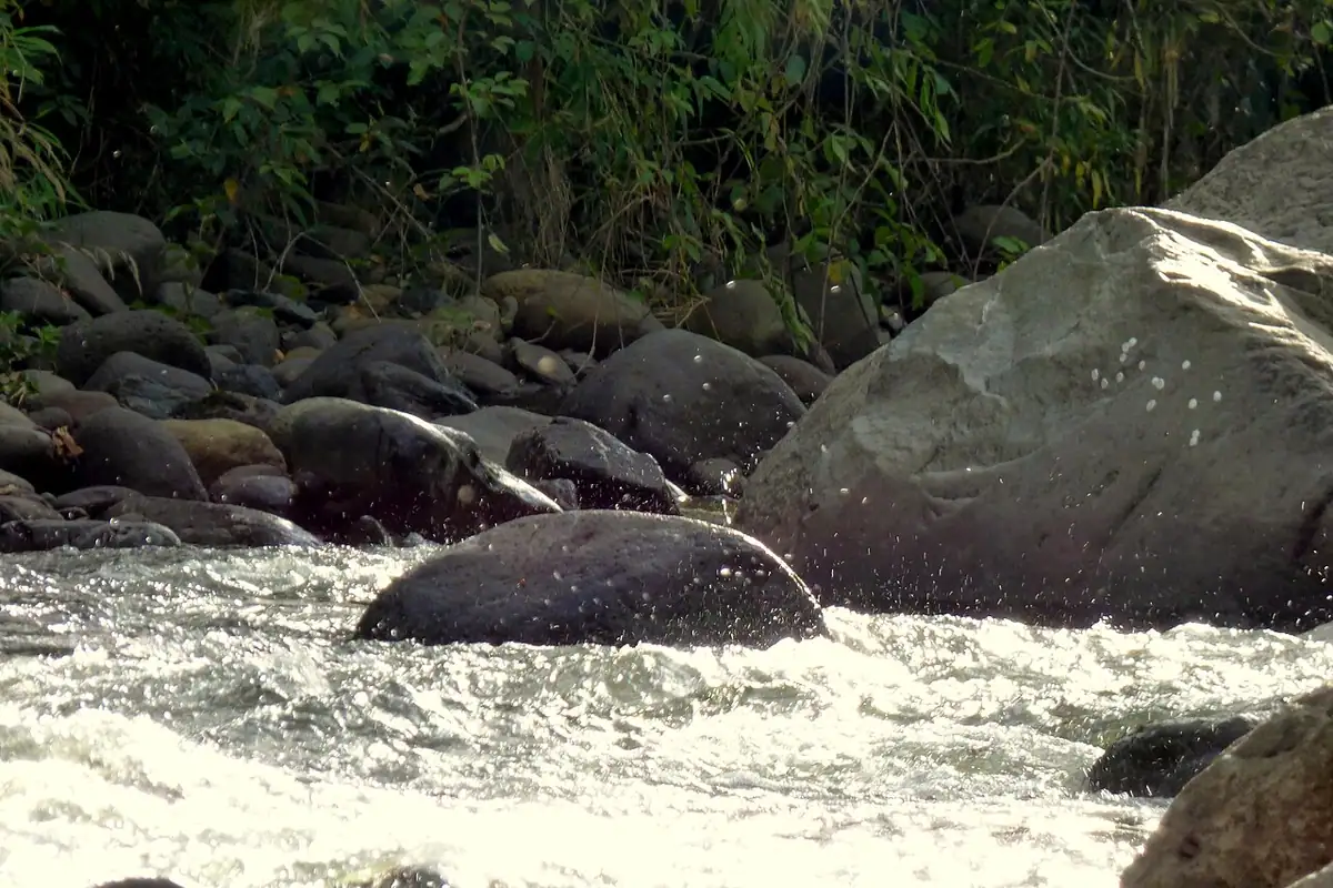 Río Quindío