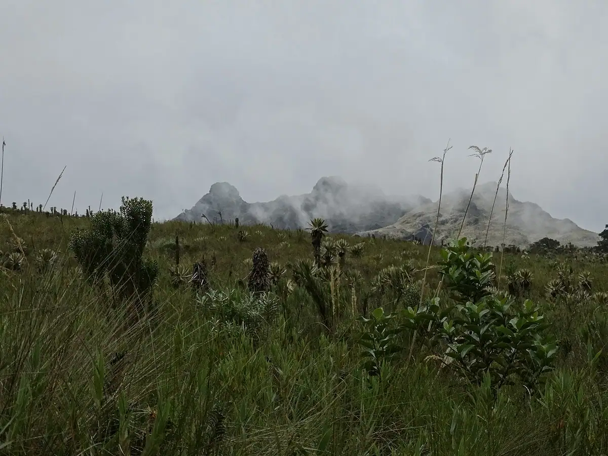 Roncesvalles (Tolima)