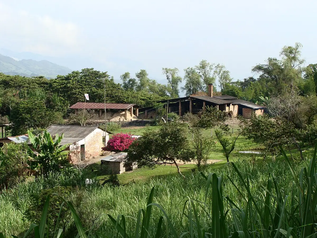 San José de Pare
