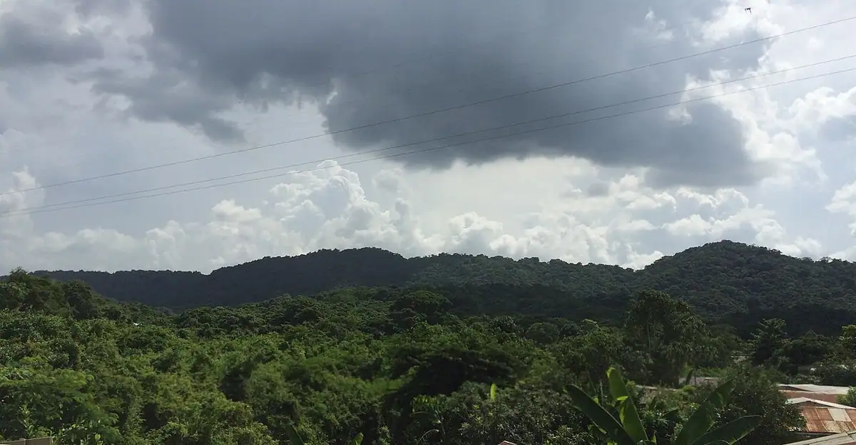 Santuario de Fauna y Flora Los Colorados