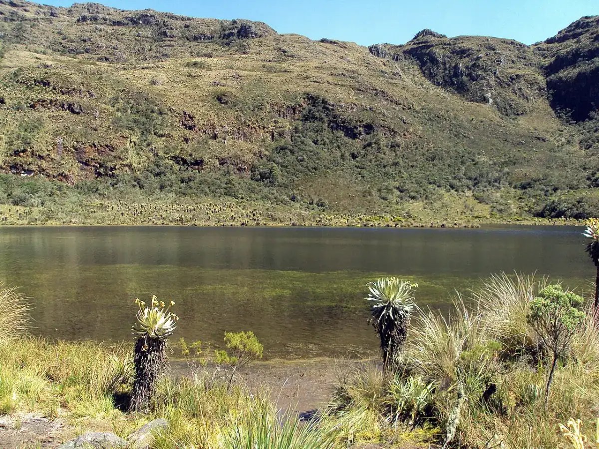 Santuario de Flora y Fauna de Iguaque