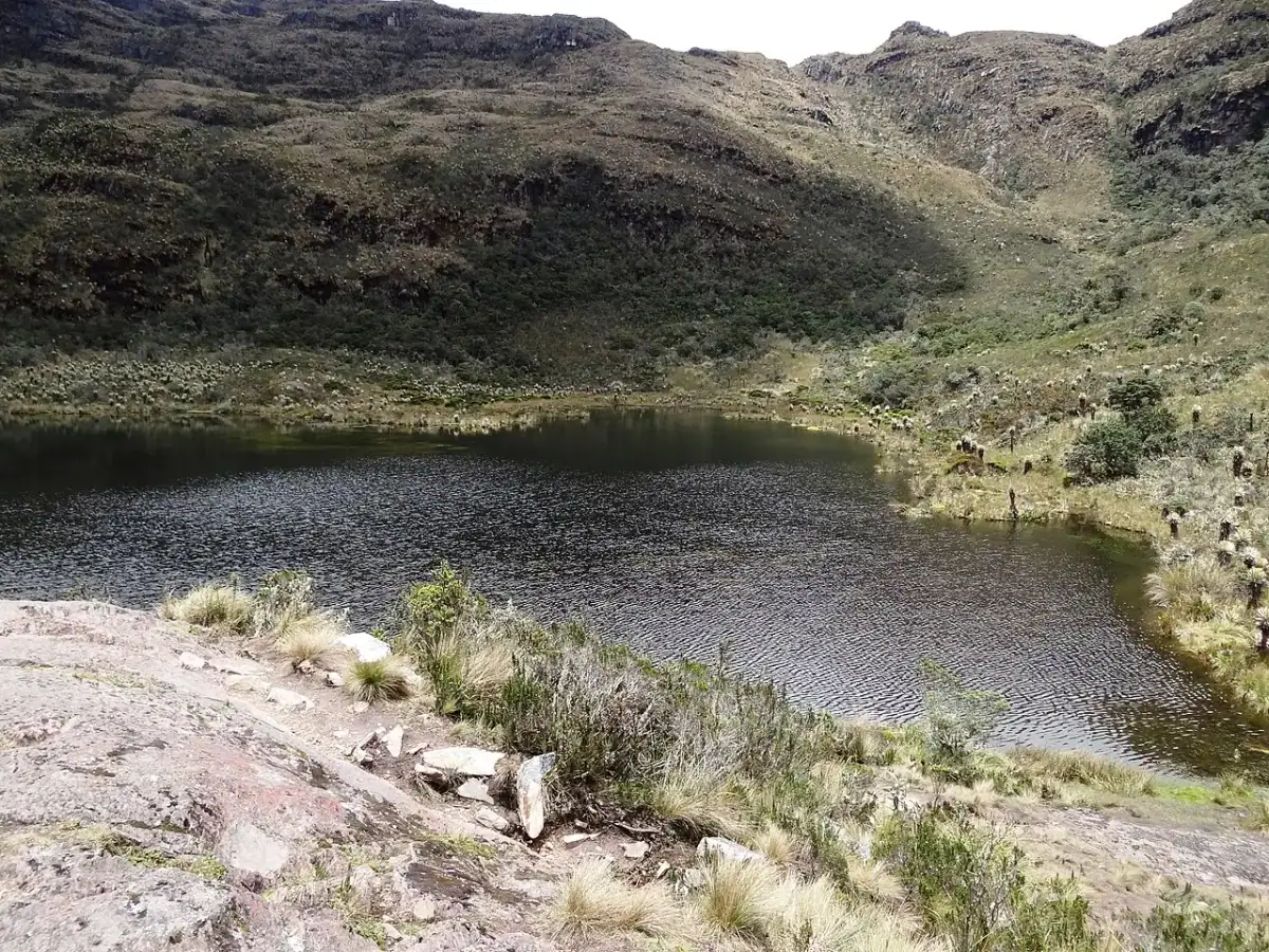 Santuario de Flora y Fauna de Iguaque