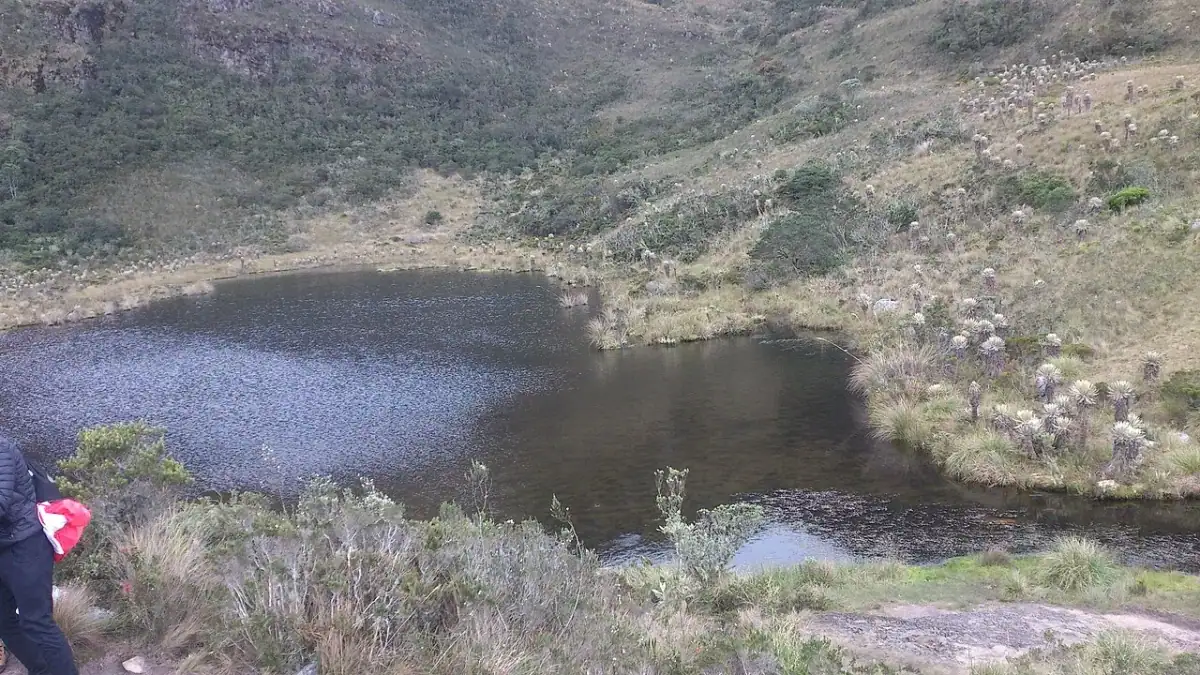 Santuario de Flora y Fauna de Iguaque