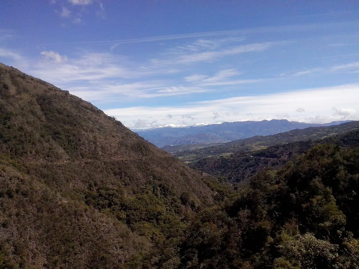 Susacón