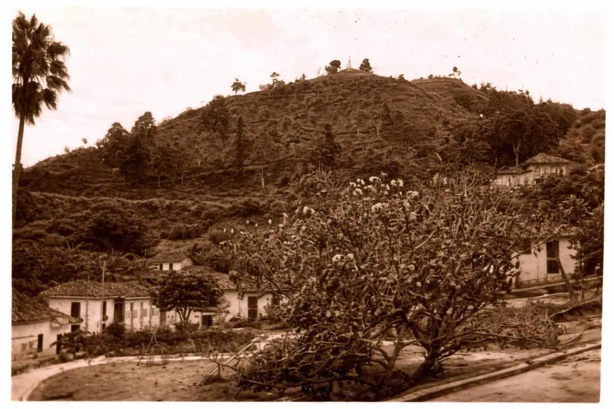 Tenza
