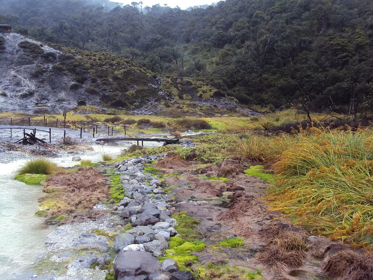 Termales de San Juan (Puracé)