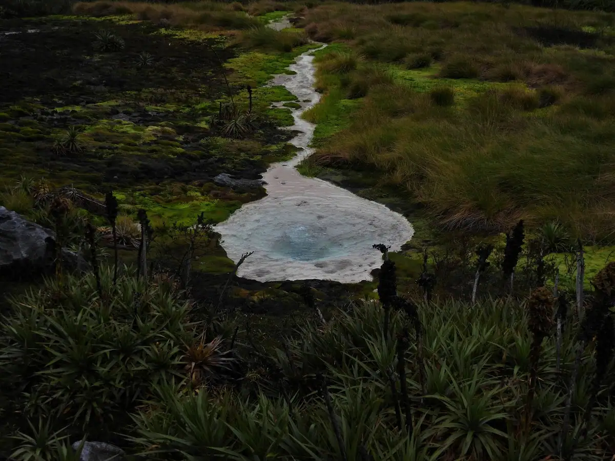 Termales de San Juan (Puracé)