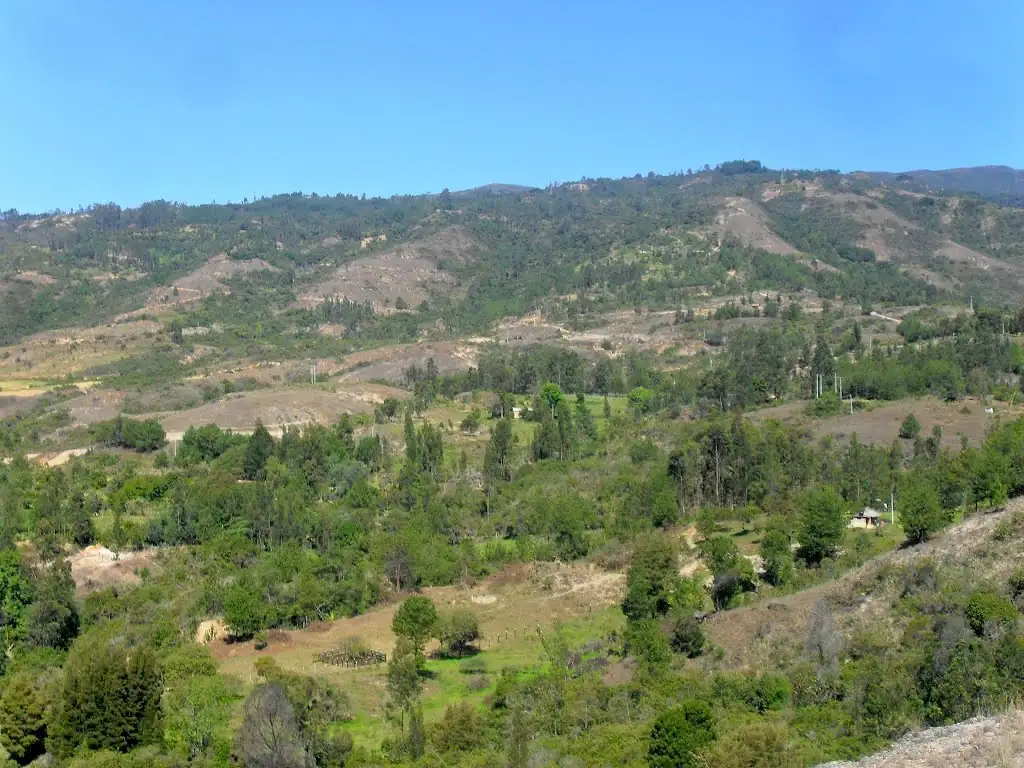 Tinjacá (Boyacá)