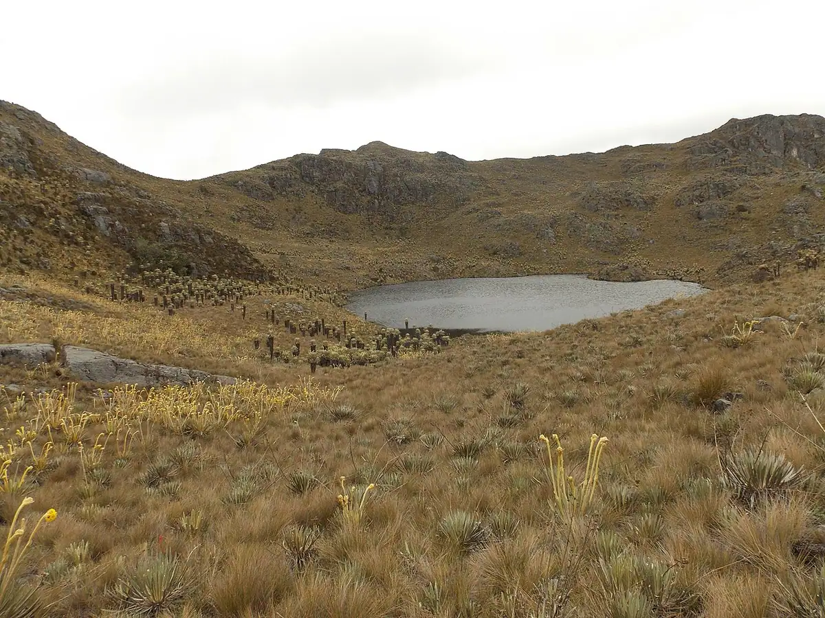 Tutazá