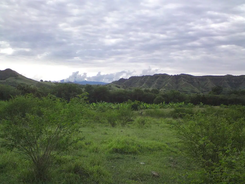 Valle del Patía (Cauca)