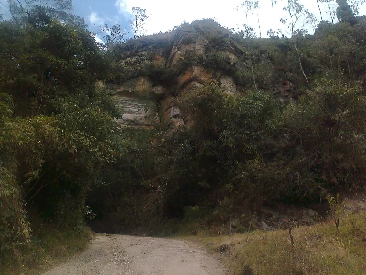 Viracachá