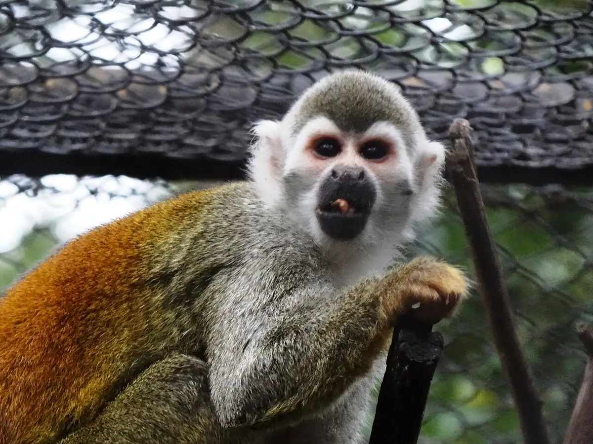 Zoológico Santacruz (Cundinamarca)