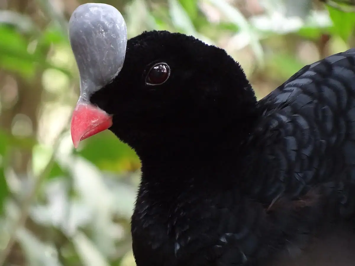 Zoológico Santacruz (Cundinamarca)